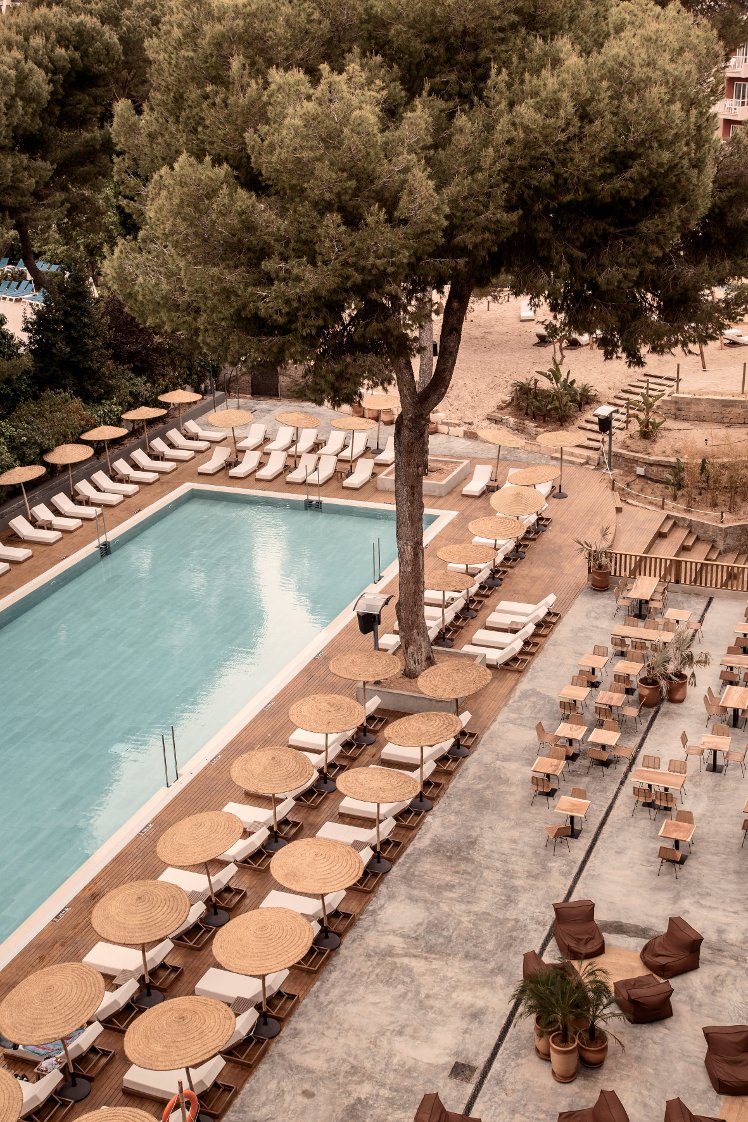 Cook's Club Palma Beach Mallorca | Holidays to Balearic Islands | Plan My  Tour