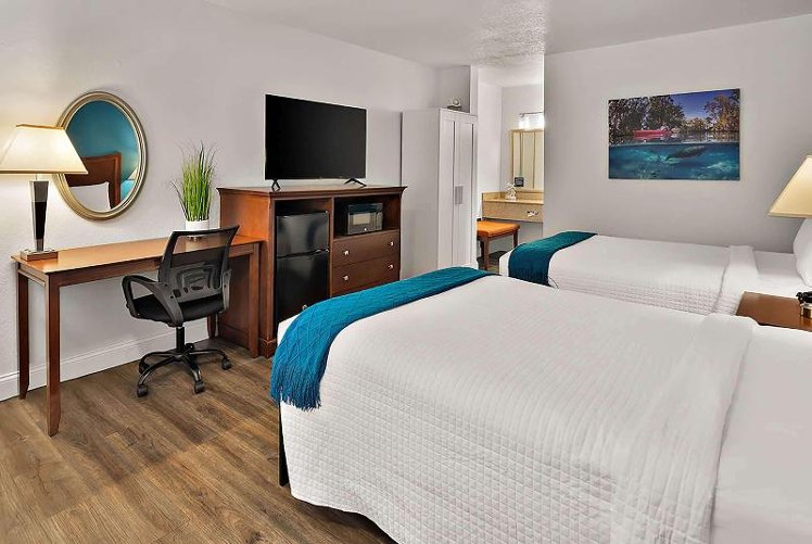 DOUBLE Accessible Room