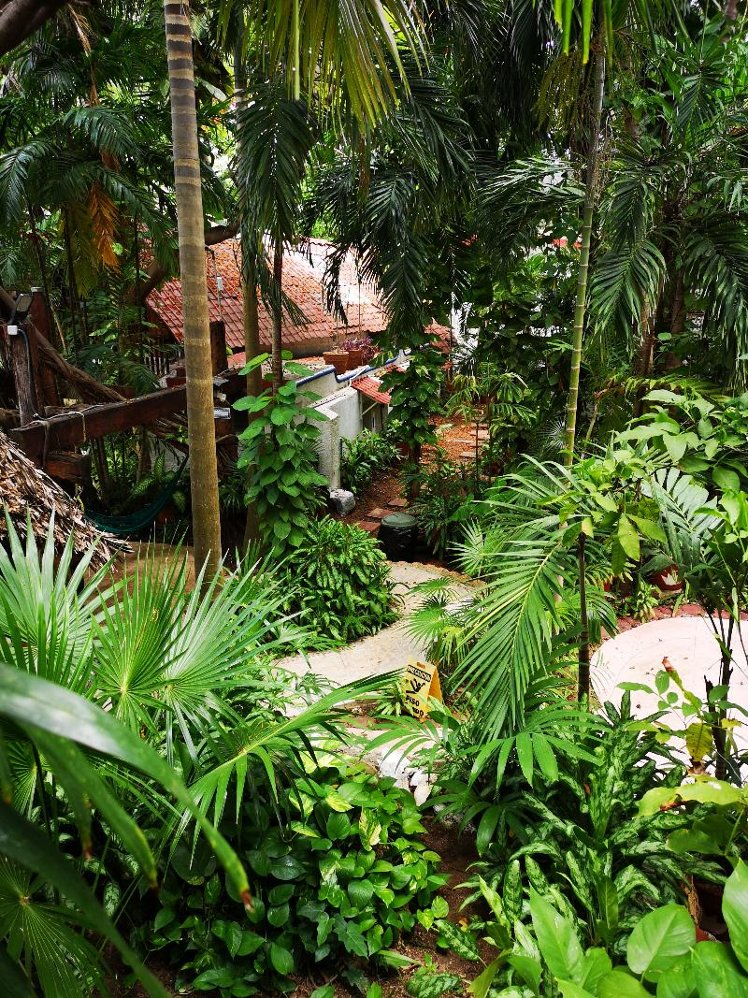 General view