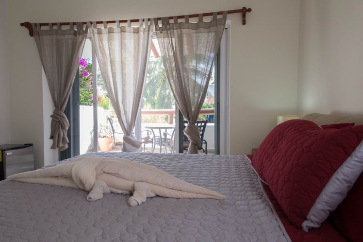 SINGLE SUPERIOR KING BED Room