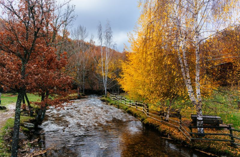 Autumn Season in Spain