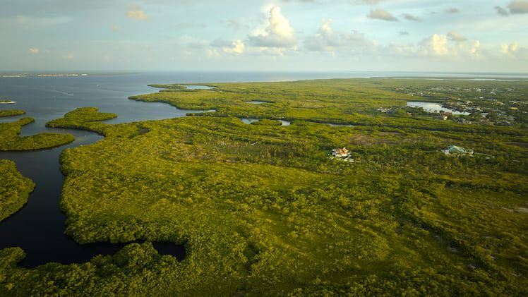 Everglades National Park in Florida,USA