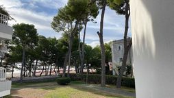 Ferrer Lime Playa de Alcudia