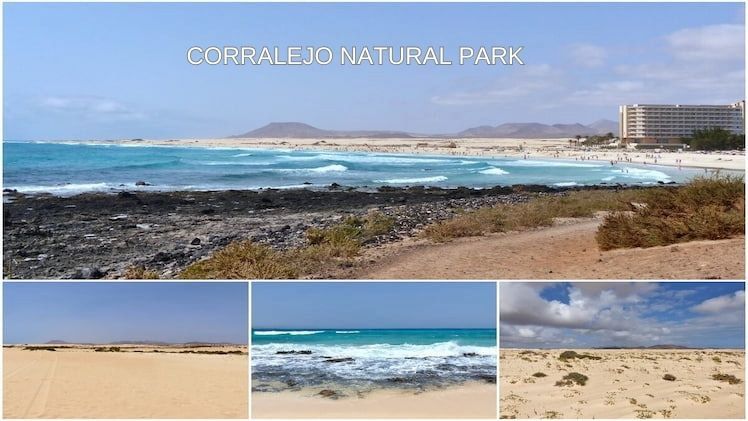 Corralejo Natural Park